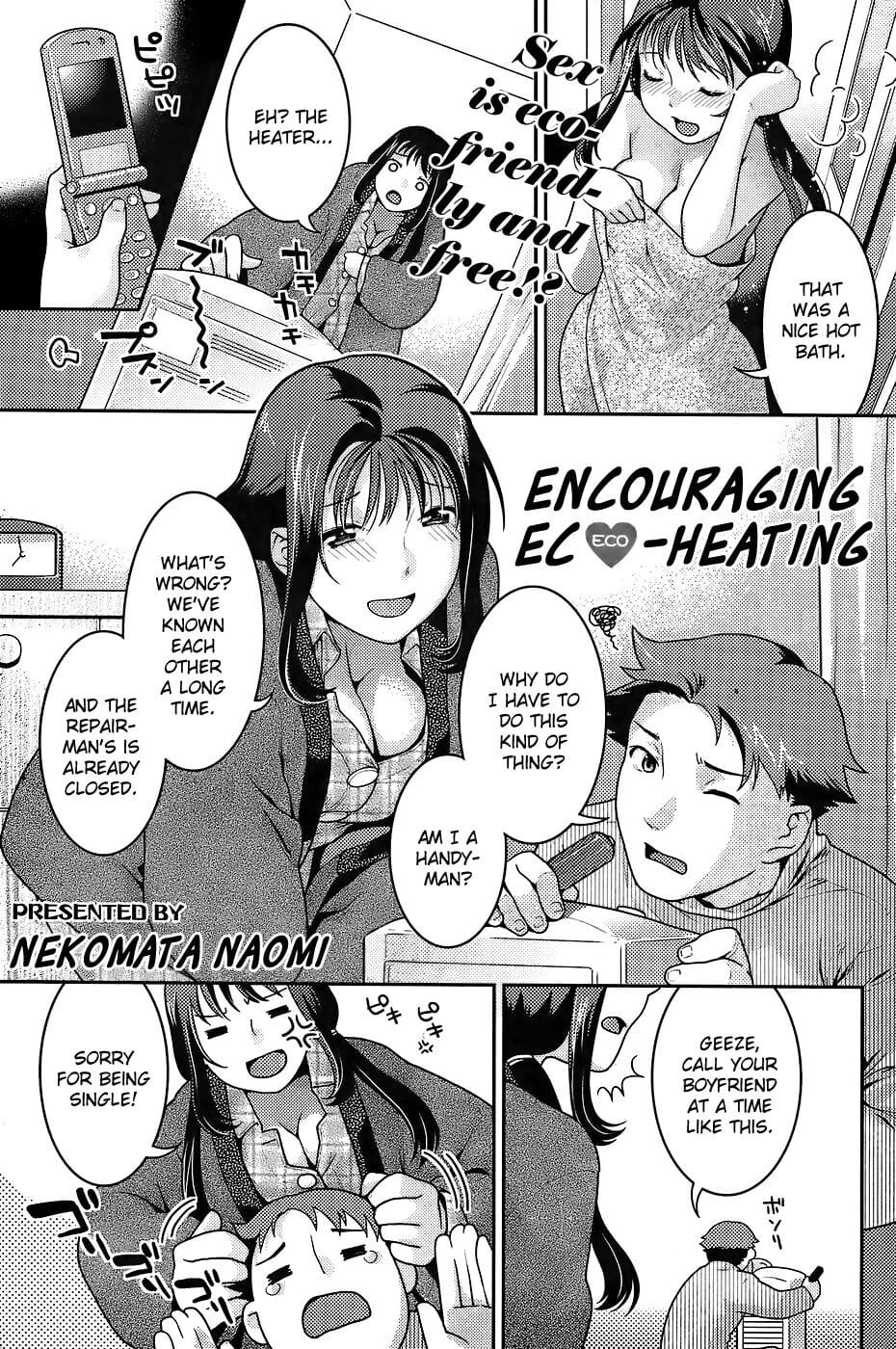 Encouraging Eco-heating page 1